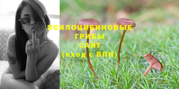 скорость Алексин