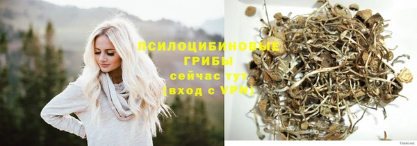 apvp Абинск