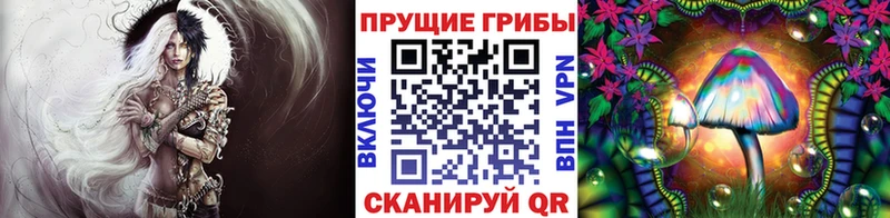 Галлюциногенные грибы мицелий  МЕГА ссылка  Элиста  цены наркотик 
